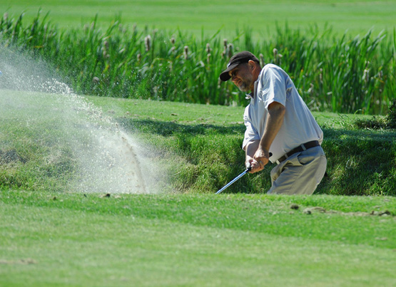 Piotr Werbelek Werbliński