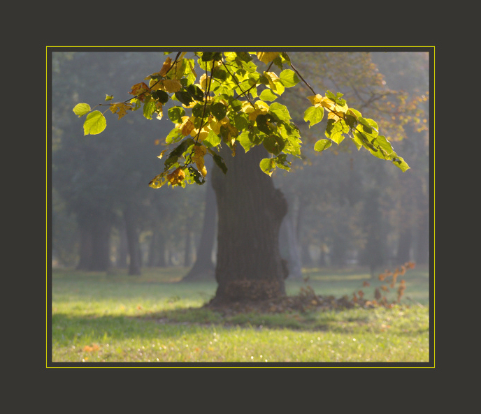 Jolanta Łabędzka-Benisz