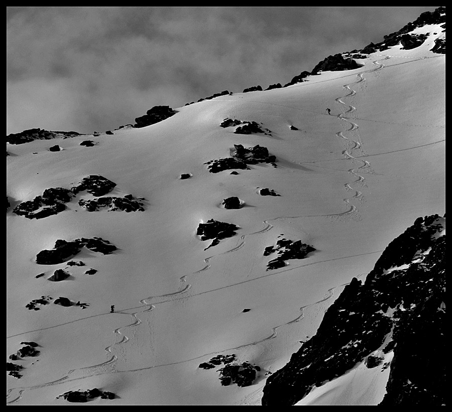 Maciek Chemik Szling