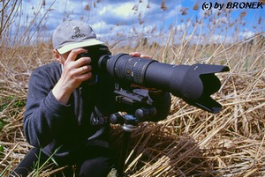 Pyzik - Endless Dreamy World