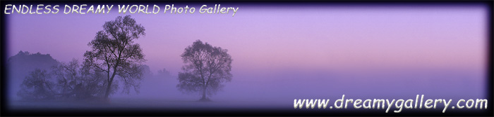 Pyzik - Endless Dreamy World